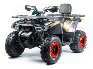 Квадроцикл MOTOLAND ATV 200 WILD TRACK X