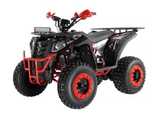 Квадроцикл ATV WELS 200 EVO X2