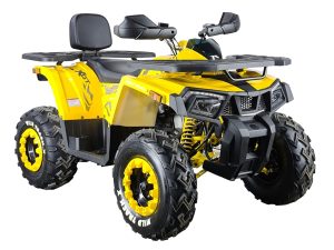 Квадроцикл MOTOLAND ATV 200 WILD TRACK X WINCH