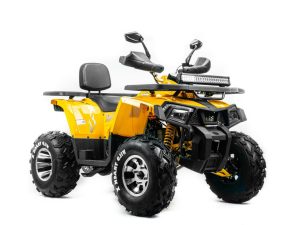 Квадроцикл MOTOLAND ATV 200 WILD TRACK X PRO